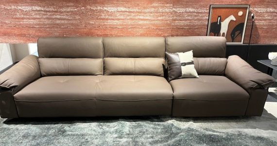 brown functional sofa